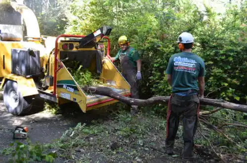 tree services Chualar